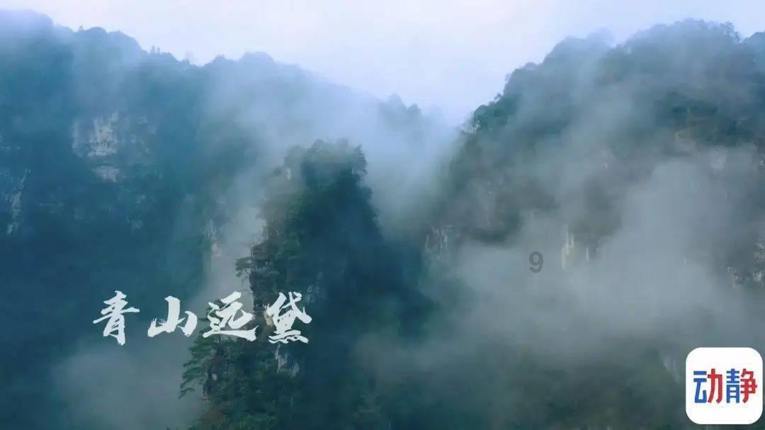 俄联邦安全局以叛国罪逮捕一名向乌军汇款的新库兹涅茨克居民