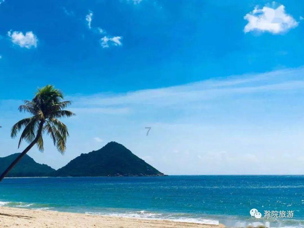 酸奶能浇花吗?我想问一下喝完酸奶的瓶子加入水可以浇花吗?比如说浇虎皮兰和富贵竹。-网上社区-热门话题讨论平台