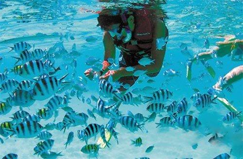 海岛纪元